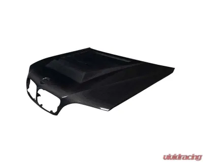 2002-2005 BMW 3 Series E46 4DR Carbon Creations D-1 Hood - 1 Piece - 119363
