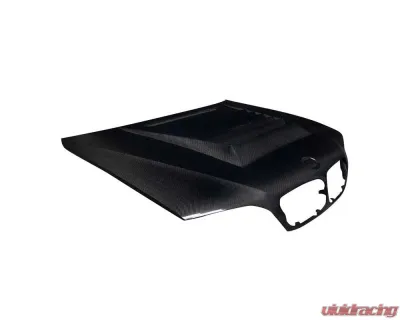 2002-2005 BMW 3 Series E46 4DR Carbon Creations D-1 Hood - 1 Piece - 119363