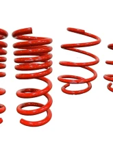 Roush Performance MagneRide Lowering Springs Ford Mustang 2018-2025                                     - 422330 - Image 3