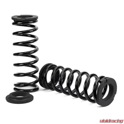 Arnott Industries Air to Coil Spring Conversion Kit Rear - C-3434