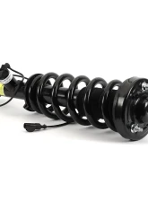 Arnott Industries Arnott New Front Right Coil over Strut Front Right                                     - SK-3597 - Image 4