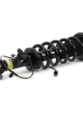 Arnott Industries Arnott New Front Right Coil over Strut Front Right                                     - SK-3597 - Image 2