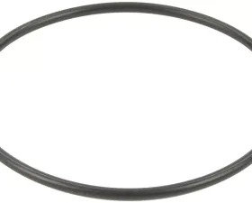 Bosch Fuel Pump Tank Seal