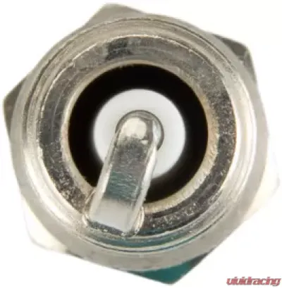 Bosch OE Fine Wire Double Iridium Spark Plug - 9601