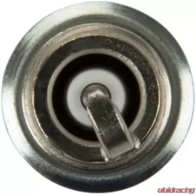 Bosch OE Fine Wire Double Iridium Spark Plug - 9613