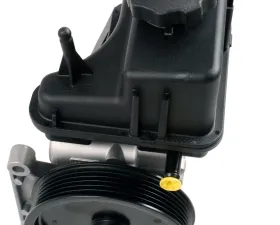 Bosch Steering pump, mechanical