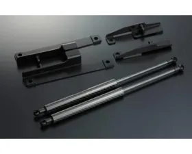 Varis Bonnet Damper Carbon for Mitsubishi EVO X CZ4A 2008-2015 BDMI-002