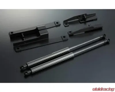 Varis Bonnet Damper Carbon for Mitsubishi EVO X CZ4A 2008-2015 BDMI-002 - BDMI-002