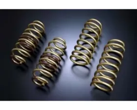 TEIN S.Tech Spring Kit