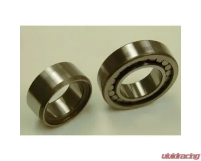 SKF Cylindrical Roller Bearing MU1305UM18 - MU1305UM18