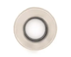 SKF Clutch Release Bearing N1701