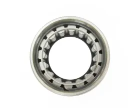 SKF Cylindrical Roller Bearing R1559