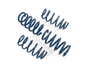 Dinan Performance Spring Set Tesla Model 3 2018-2023