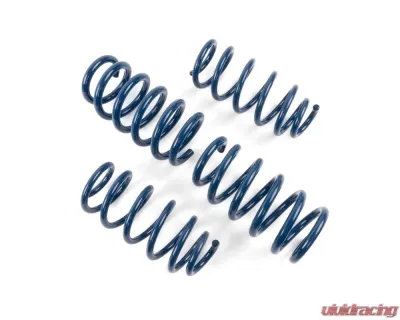 Dinan Performance Spring Set Tesla Model 3 2018-2023 - D100-0940