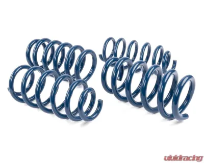 Dinan Performance Spring Set Tesla Model 3 2018-2023 - D100-0940