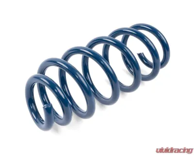 Dinan Performance Spring Set Tesla Model 3 2018-2023 - D100-0940