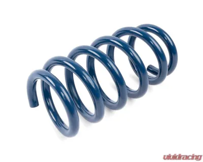 Dinan Performance Spring Set Tesla Model 3 2018-2023 - D100-0940
