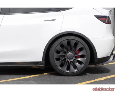 Dinan Performance Spring Set Tesla Model Y 2020-2023 - D100-0941