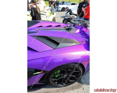 Exotic Car Gear Engine Air Intake Panels S Large for Lamborghini Aventador SVJ 2018-2022 - ECG-LAM-AVSLV
