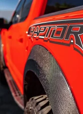 Anderson Composit's Carbon Fiber Rear Fender Set Ford Raptor 2017-2020                                     - AC-FLR17FDRA-R - Image 3