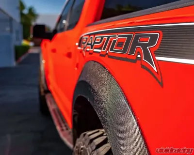 Anderson Composit's Carbon Fiber Rear Fender Set Ford Raptor 2017-2020 - AC-FLR17FDRA-R