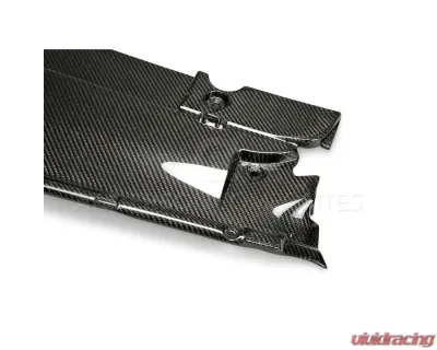 Anderson Composites Carbon Fiber Radiator Cover Ford Mustang 2015-2023 - AC-CP15FDMU