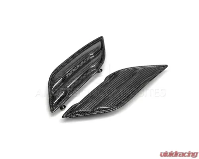 Anderson Composit's Type-OE Carbon Fiber Vent Set Ford Raptor 2017-2020 - AC-FFI17FDRA