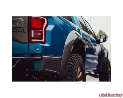 Anderson Composit's Carbon Fiber Type-wide Rear Fender Flares (Pair) Ford Raptor 2017-2020 - AC-FLR17FDRA-R-W