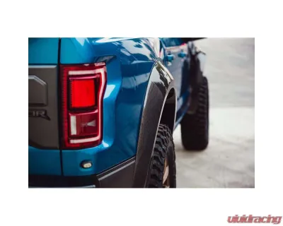Anderson Composit's Carbon Fiber Type-wide Rear Fender Flares (Pair) Ford Raptor 2017-2020 - AC-FLR17FDRA-R-W