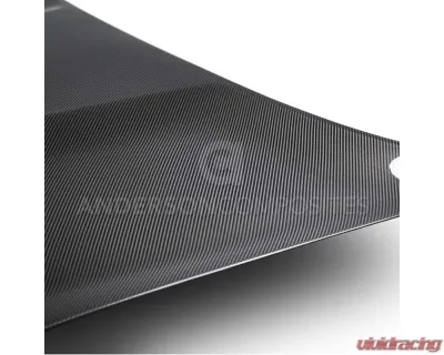 Anderson Composites Double-Sided Carbon Hood Ford Mustang GT350 2015-2023 - AC-HD15FDMU350-OE-DS