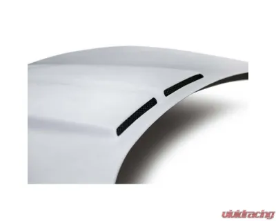 Anderson Composites Fiberglass Hood Type-TD Chevrolet Corvette C5 1997-2004 - AC-HD9704CHC5-TD-GF