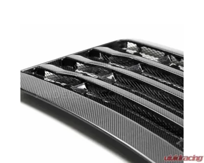 Anderson Composit's Type-OE Carbon Fiber Hood Vent Ford Raptor 2017-2020 - AC-HDS17FDRA-OE