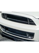 Anderson Composites Carbon Fiber Front Lower Grille for Ford Mustang Shelby GT500 2013-2014                                     - AC-LG1213FDGT - Image 7