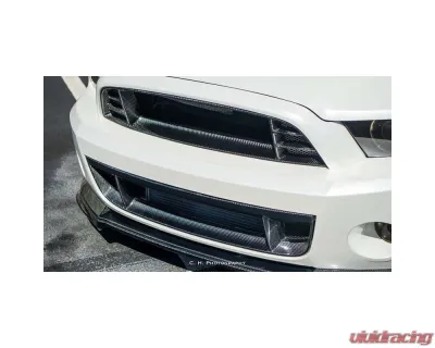 Anderson Composites Carbon Fiber Front Lower Grille for Ford Mustang Shelby GT500 2013-2014 - AC-LG1213FDGT