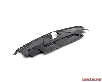 Anderson Composites Carbon Fiber Radiator Cover Ford Mustang 2024 - AC-CP24FDMU