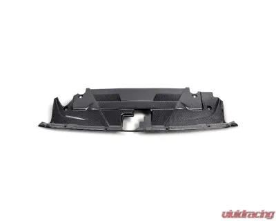 Anderson Composites Carbon Fiber Radiator Cover Ford Mustang 2024 - AC-CP24FDMU