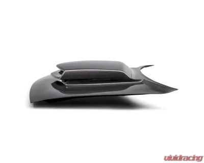 Anderson Composites Type-HM Carbon Fiber Hood for Dodge Challenger 2015-2023 - AC-HD15DGCH-HM