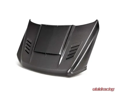 Anderson Composites Carbon Fiber Type-AB Hood Ford F-150 2021-2024 - AC-HD21FDF150-AB