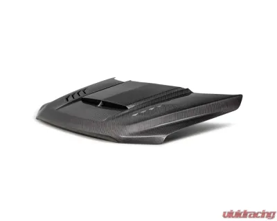 Anderson Composites Carbon Fiber Type-AB Hood Ford F-150 2021-2024 - AC-HD21FDF150-AB