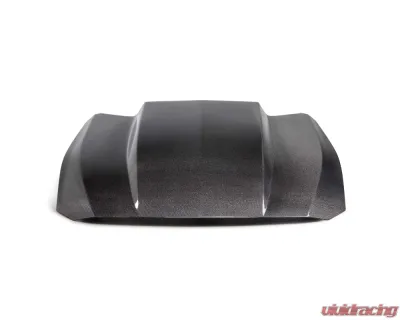 Anderson Composites Type-CJ Double-Sided Carbon Fiber Cowl Hood for 2024 Ford Mustang - AC-HD24FDMU-CJ-DS