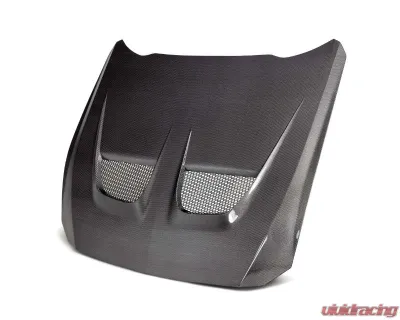 Anderson Composites Type-GTD Carbon Fiber Hood Ford Mustang 2024 - AC-HD24FDMU-GTD-DS