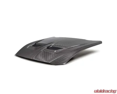 Anderson Composites Type-GTD Carbon Fiber Hood Ford Mustang 2024 - AC-HD24FDMU-GTD-DS
