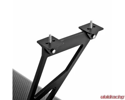 Anderson Carbon 59.375" Wide Universal Carbon Fiber GT Wing - GTWING-1