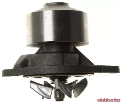 AC Delco Water Pump Kit - 252-318