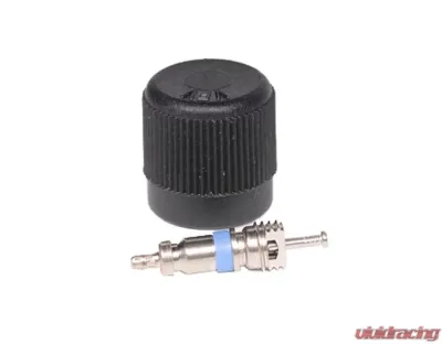 AC Delco Fuel Injection Fuel Pressure Service Kit with Valve and Cap - 12570619