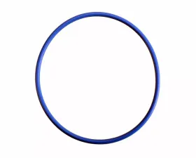 AC Delco Engine Oil Filter Housing Seal (O-Ring)