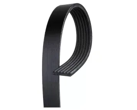 AC Delco V-Ribbed Serpentine Belt