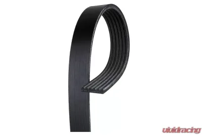 AC Delco V-Ribbed Serpentine Belt - 12588408