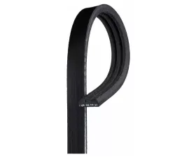 AC Delco V-Ribbed Serpentine Belt