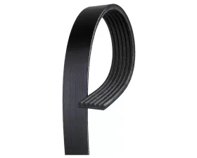 AC Delco V-Ribbed Serpentine Belt